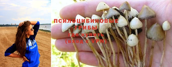 jwh Новозыбков