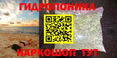 гидропоника Гусев