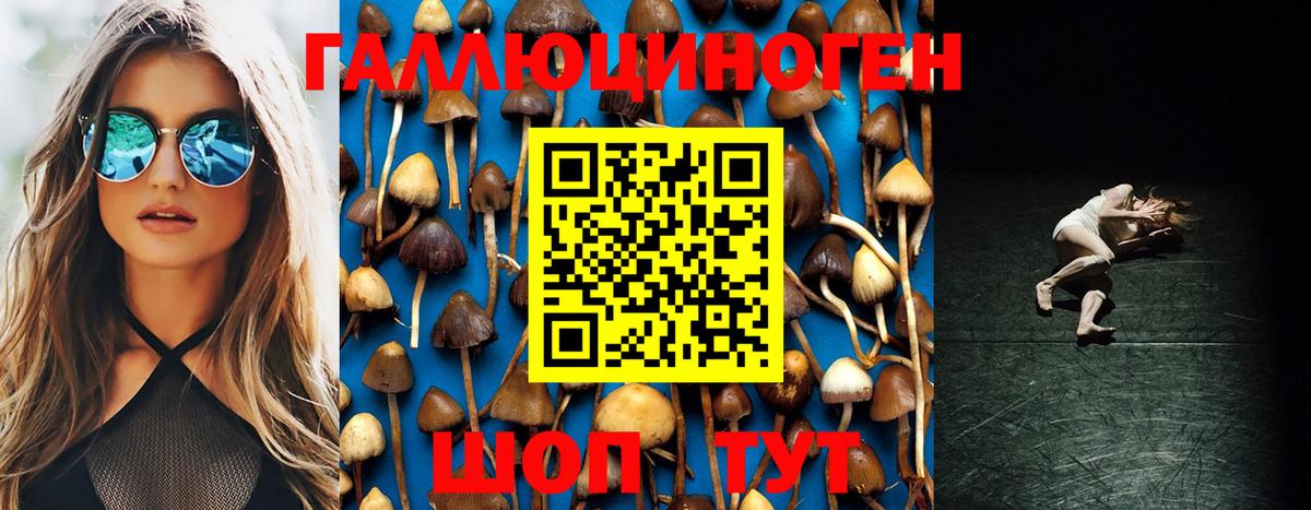 Галлюциногенные грибы Magic Shrooms Новоуральск